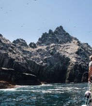 Een man staat op het dek van een boot tijdens zijn rundreise Irland en kijkt naar ruige kliffen versierd met witte vogelpoep. Vogels zweven boven ons hoofd in de helderblauwe lucht. De woelige zee weerspiegelt het diepblauwe water, terwijl zonlicht schaduwen werpt op de rotsen. Een ander persoon houdt de reling vast. | Echt Ierland Vakanties