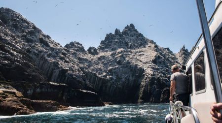 Een man staat op het dek van een boot tijdens zijn rundreise Irland en kijkt naar ruige kliffen versierd met witte vogelpoep. Vogels zweven boven ons hoofd in de helderblauwe lucht. De woelige zee weerspiegelt het diepblauwe water, terwijl zonlicht schaduwen werpt op de rotsen. Een ander persoon houdt de reling vast. | Echt Ierland Vakanties