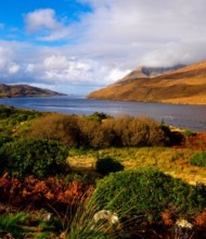 Schilderachtig landschap met een meer omgeven door weelderig groen en levendig herfstgebladerte onder een gedeeltelijk bewolkte lucht. Ontdek als onderdeel van een rondreis Ierland glooiende heuvels met bruine en groene vegetatie die aan beide kanten oprijst. De blauwe lucht werpt dynamische schaduwen op dit prachtige Ierse terrein. | Echt Ierland Vakanties