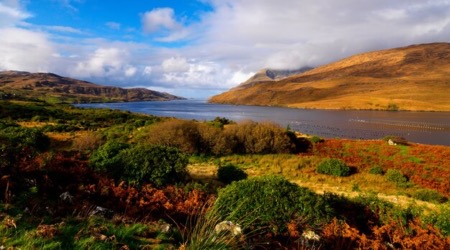 Schilderachtig landschap met een meer omgeven door weelderig groen en levendig herfstgebladerte onder een gedeeltelijk bewolkte lucht. Ontdek als onderdeel van een rondreis Ierland glooiende heuvels met bruine en groene vegetatie die aan beide kanten oprijst. De blauwe lucht werpt dynamische schaduwen op dit prachtige Ierse terrein. | Echt Ierland Vakanties