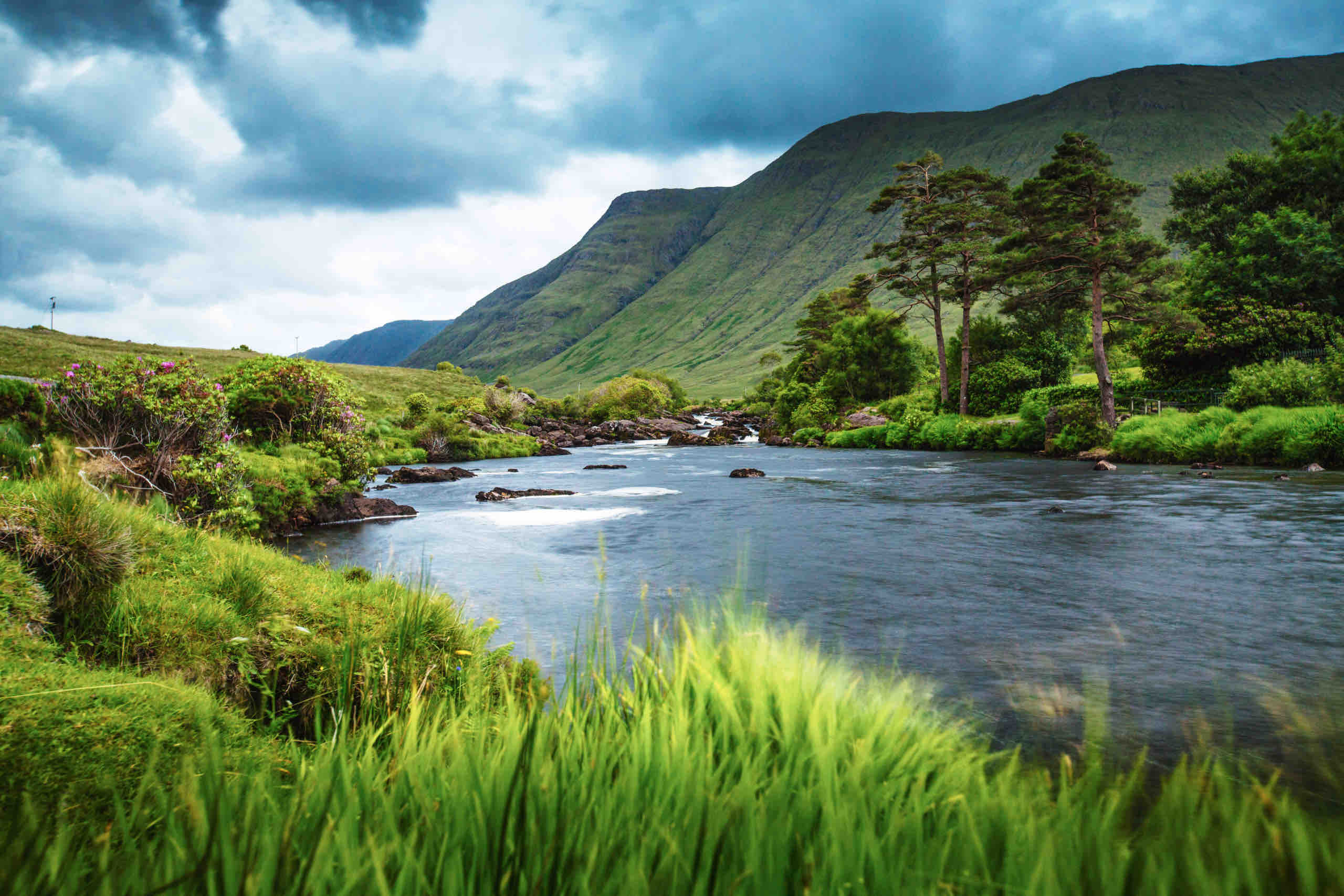 Een sereen landschap met een rustige rivier die door hoog, levendig groen gras stroomt, wat doet denken aan een rondreis Ierland. Bomen langs de oever van de rivier en een grote, weelderige heuvel rijst op de achtergrond onder een bewolkte blauwe lucht, wat de essentie van onvergetelijke Ierland vakanties vastlegt. | Echt Ierland Vakanties