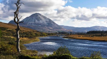 Ontdek de betoverende schoonheid van een schilderachtig landschap dat perfect is voor een vakantie in Ierland. Een kronkelende rivier geflankeerd door weelderig groen en een bladloze boom siert de voorgrond, terwijl een majestueuze berg oprijst tegen een door wolken gekuste lucht, schaduwen werpend op glooiende heuvels en gouden weiden. | Echt Ierland Vakanties