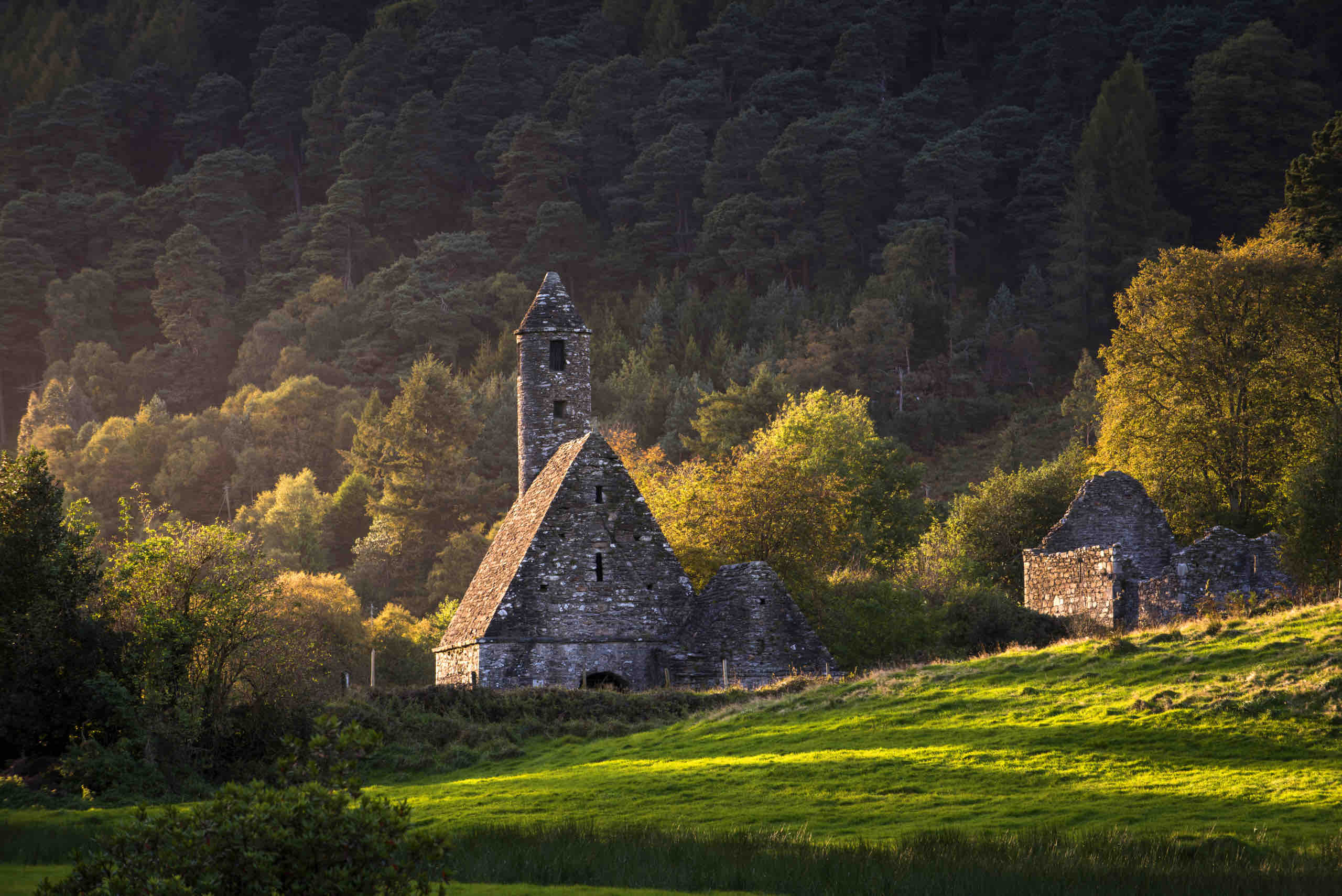Stenen kerk met een hoge, smalle klokkentoren in een weelderig, groen landschap tijdens uw rondreis Ierland. Zonlicht accentueert het gebouw en de omringende bomen, terwijl een dicht, donker bos op de achtergrond opdoemt. Het zacht glooiende grasveld draagt bij aan dit serene, pittoreske tafereel. | Echt Ierland Vakanties