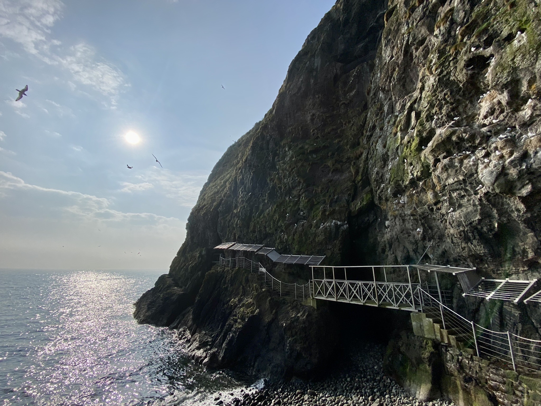 Een rotsachtige klif ontmoet de oceaan onder een bewolkte lucht in dit dramatische kustlandschap. Ontdek tijdens uw rondreis Ierland een smalle metalen loopbrug die aan de kliffen vastzit. De zon schijnt fel op het water terwijl vogels dichtbij vliegen, wat een prachtig uitzicht biedt op de ruige schoonheid van Ierland. | Echt Ierland Vakanties