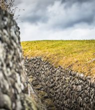 Een stenen muur met een smalle doorgang omlijnt een met gras begroeide heuvel, en legt de ruige schoonheid van een Iers landschap vast. De ruwe textuur van de stenen contrasteert met het gladde, groenachtig-gele gras, terwijl grijze wolken wijzen op dreigende regen - een serene uitnodiging om Ierland te verkennen tijdens uw vakantie. | Echt Ierland Vakanties