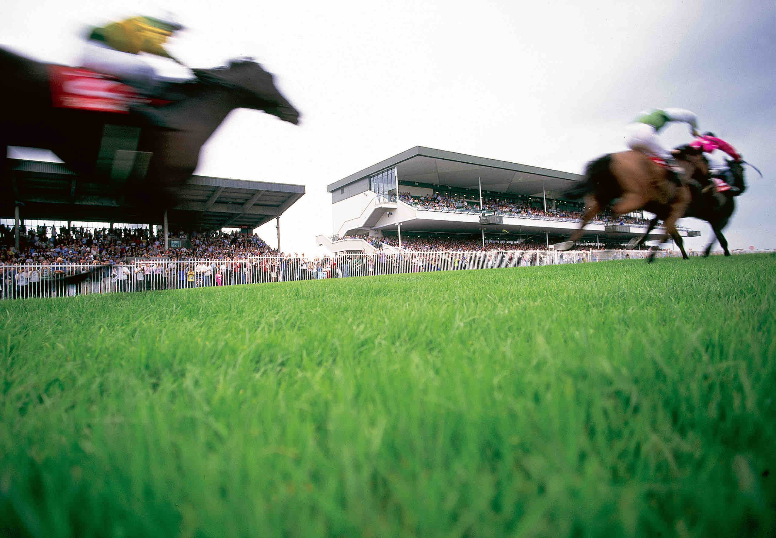 Onscherp beeld van een paardenrace in beweging tijdens een spannende rondreis Ierland. Drie jockeys op paarden galopperen voorbij, met toeschouwers op een grote tribune op de achtergrond. De scène legt dynamische bewegingen vast over een levendig groen grasveld onder een bewolkte lucht. | Echt Ierland Vakanties