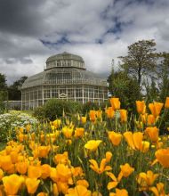 Een grote kas met een koepeldak is omgeven door weelderig groen en levendige bloemen, die doen denken aan de prachtige landschappen die je ziet tijdens een rondreis door Ierland. Op de voorgrond steken feloranje bloemen af tegen een gedeeltelijk bewolkte lucht, waardoor dynamische schaduwen ontstaan die de levendige kleuren van de tuin versterken. | Echt Ierland Vakanties