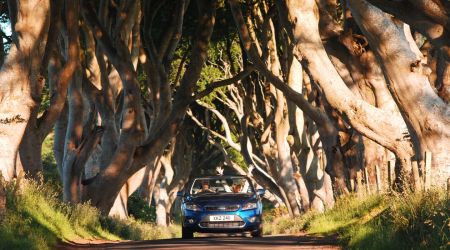 Een blauwe cabriolet rijdt over een met bomen omzoomde weg, met twee passagiers die hun handen in opwinding opsteken tijdens hun vakantie in Ierland. De bomen hebben gedraaide, gebogen takken die een natuurlijk bladerdak vormen. Het zonlicht filtert erdoorheen en werpt gevlekte schaduwen op de weg. Een houten hek loopt langs de rechterkant. | Echt Ierland Vakanties
