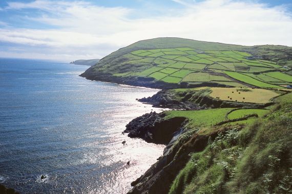 Een schilderachtig kustlandschap in Ierland, perfect voor een rundreise Irland-avontuur, met glooiende groene heuvels, gescheiden door heggen en stenen muren. Rotsachtige kliffen leiden naar een kalme blauwe oceaan onder een gedeeltelijk bewolkte lucht, met landbouwgrond die een charmant lappendekeneffect creëert. | Echt Ierland Vakanties