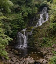 Een weelderig groen bos in Ierland omringt een waterval, met water dat over meerdere rotslagen stroomt in een kalme poel eronder. Met mos bedekte rotsen en takken zijn verspreid rond de basis, wat bijdraagt aan de natuurlijke omgeving onder een bladerdak van dichte bomen en gebladerte, perfect voor elke rondreis Ierland. | Echt Ierland Vakanties