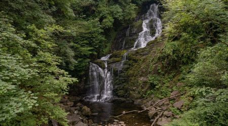 Een weelderig groen bos in Ierland omringt een waterval, met water dat over meerdere rotslagen stroomt in een kalme poel eronder. Met mos bedekte rotsen en takken zijn verspreid rond de basis, wat bijdraagt aan de natuurlijke omgeving onder een bladerdak van dichte bomen en gebladerte, perfect voor elke rondreis Ierland. | Echt Ierland Vakanties