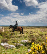 Twee mensen rijden te paard over een uitgestrekte, grazige heide onder een gedeeltelijk bewolkte lucht in het hart van een rondreis Ierland. De een rijdt op een wit paard, de ander op een bruin paard. Felgele bloemen en verspreide rotsen stippelen de voorgrond, terwijl het landschap zich uitstrekt tot een verre horizon. | Echt Ierland Vakanties