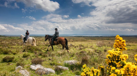 Twee mensen rijden te paard over een uitgestrekte, grazige heide onder een gedeeltelijk bewolkte lucht in het hart van een rondreis Ierland. De een rijdt op een wit paard, de ander op een bruin paard. Felgele bloemen en verspreide rotsen stippelen de voorgrond, terwijl het landschap zich uitstrekt tot een verre horizon. | Echt Ierland Vakanties