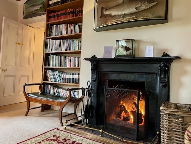 Een gezellige kamer in Boetiek hotel Westport heeft een zwarte open haard met een brandend vuur, een boekenkast vol boeken en een houten bank. Boven de schoorsteenmantel hangt een grote vis. Crèmekleurige muren en een tapijt met rode motieven voegen warmte en charme toe. | Echt Ierland Vakanties
