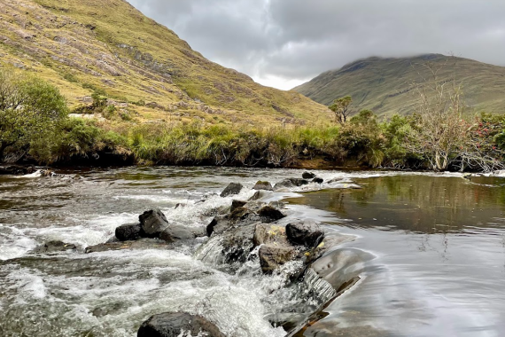 Een rotsachtig beekje stroomt door een groen, heuvelachtig landschap onder een bewolkte hemel bij Boetiek hotel Westport. Struiken en gras omzomen de waterkant, met mistige bergen op de achtergrond en kabbelend water over rotsen op de voorgrond. | Echt Ierland Vakanties